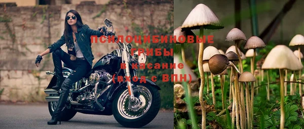 бошки Беломорск