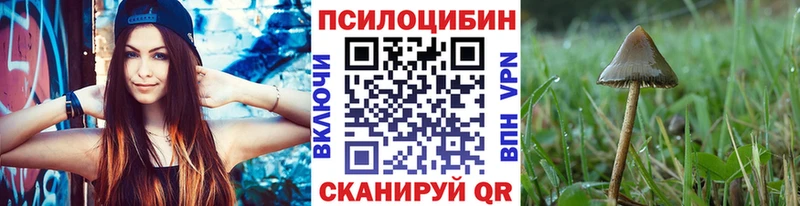Псилоцибиновые грибы Magic Shrooms  Красновишерск 